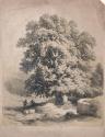 Green Oaks