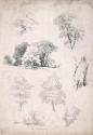 Trees from Life by Annibale Carracci and Titian