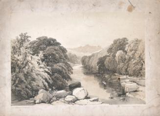 Ash, Sycamore and Oak on the River Tees, Rokeby Park, Yorkshire