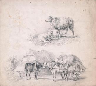 Sheep and Carthorses
