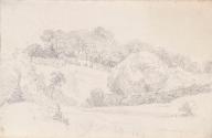 Trees on a Hillock