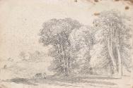 Cattle by the Roadside