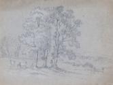 Cattle and a Herdsman beneath Trees