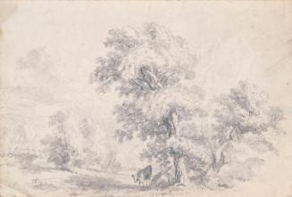 Cattle Sheltering beneath Trees