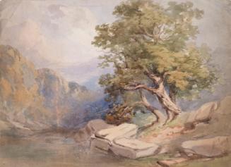 Tres Overhanging a Mountain Lake; A Wooded Valley (on verso)