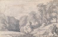Trees by a Stream