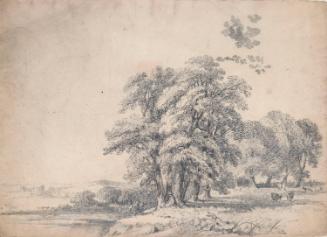 A Seated Man on a Shady Riverbank