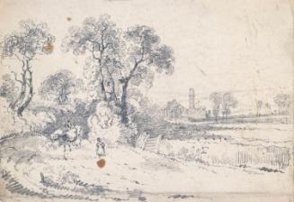 Cattle Drive down a Country Road