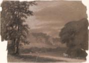 Cattle near Trees