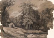 A Clearing in a Wood