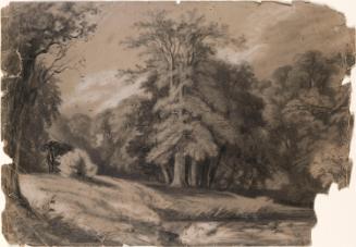 A Clearing in a Wood