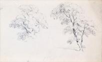 Two Trees