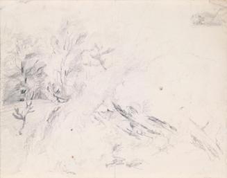 Trees on a Ridge; Two Bearded Men (on verso)