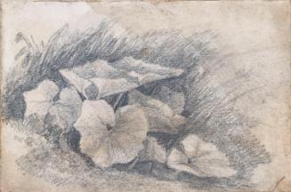 Plants; A Woman Carrying Wood (on verso)