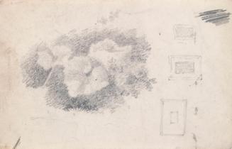 Plants and Frame Designs; A Tree (on verso)