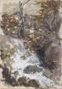A Waterfall in a Wood