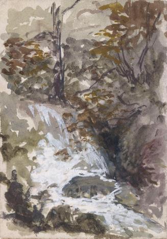 A Waterfall in a Wood