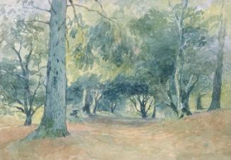 A Woodland Path