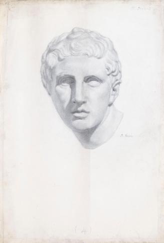 The Head of the Borghese Gladiator