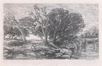 Trees on a Riverbank
