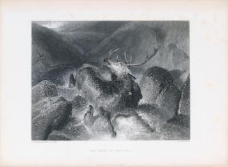 The Death of the Stag