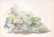 A Rocky River Bank