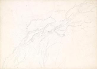 Branches, An Illustration for a Fairytale