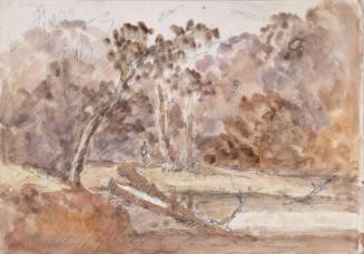 A Dead Tree in a Forest Clearing