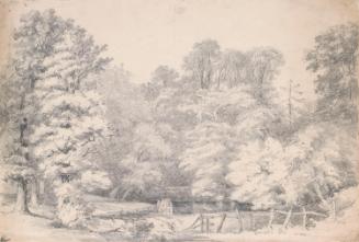 A Stream through a Forest