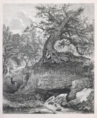Deliciae Sylvarum [...]