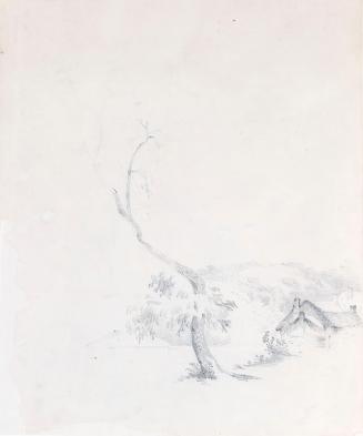 A Tree by a Cottage