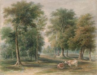 Cattle Grazing beneath Trees