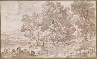 A Road through a Wood