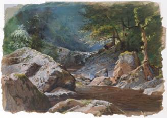 The River Dargle, County Wicklow