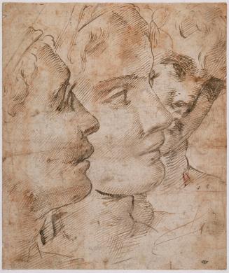 Three Heads in Profile
