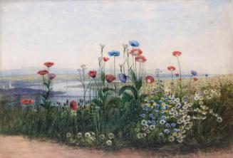 Londonderry on the River Foyle, County Derry, Beyond a Bank of Flowers