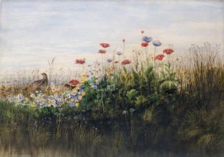 Pheasants in a Bank of Flowers