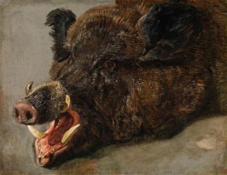 The Head of a Wild Boar