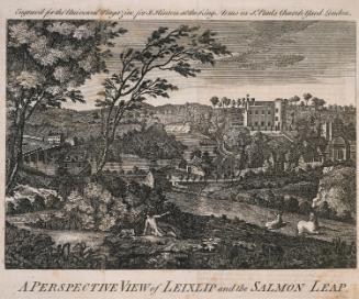 Leixlip Castle and the Salmon Leap, County Kildare