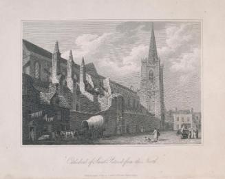 Saint Patrick's Cathedral, Dublin from the North-East