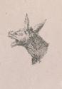 Head of an Ass Braying