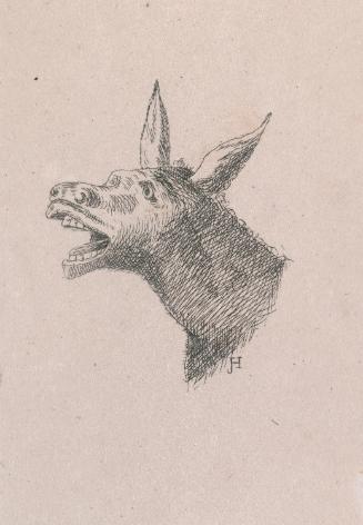 Head of an Ass Braying