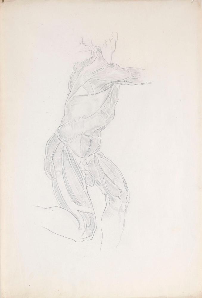 © The Estate of James Sleator