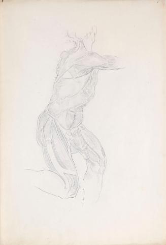 © The Estate of James Sleator