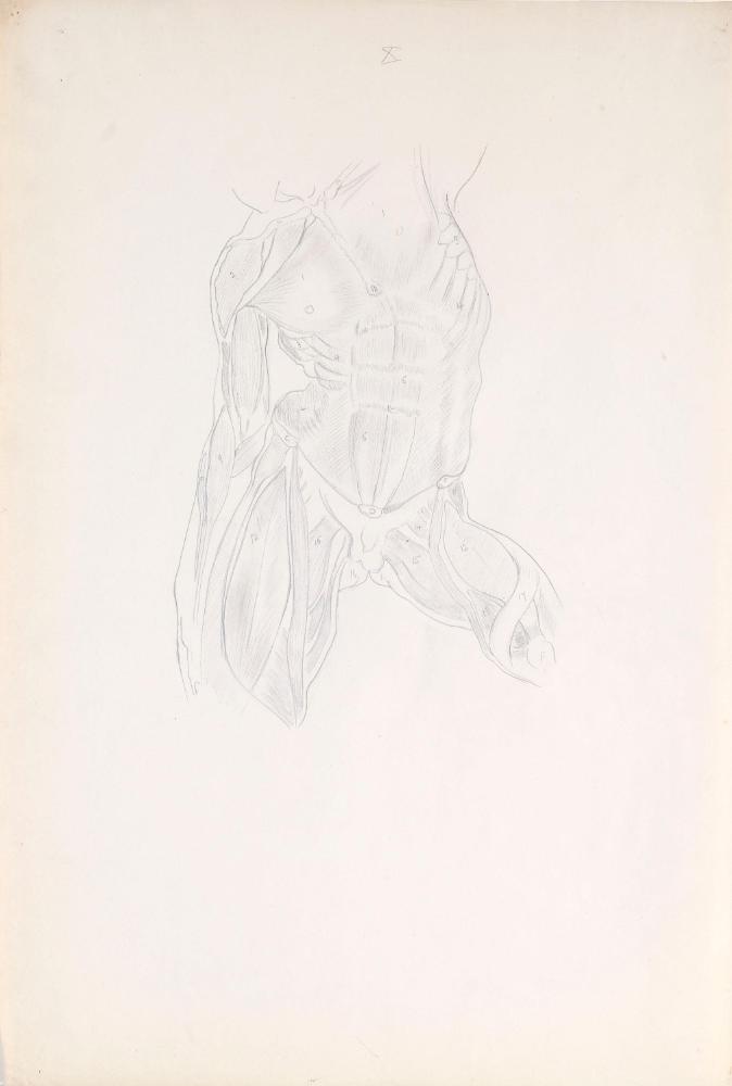 © The Estate of James Sleator