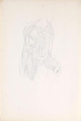 © The Estate of James Sleator