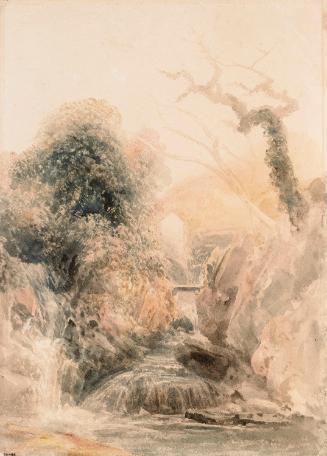 A River in a Rocky Gorge (3)