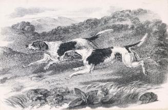 Two Hounds Running