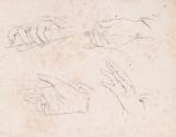 Hand Studies
