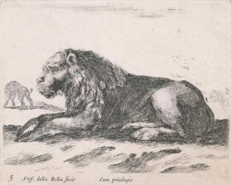 The Lion (No.5)